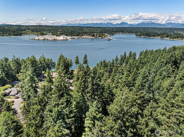 15905 Nesika Bay Rd NE, Poulsbo, WA 98370 - photo 34