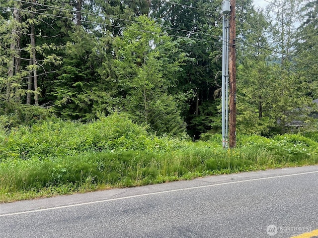0 Cain Lake Rd, Sedro Woolley, WA 98284