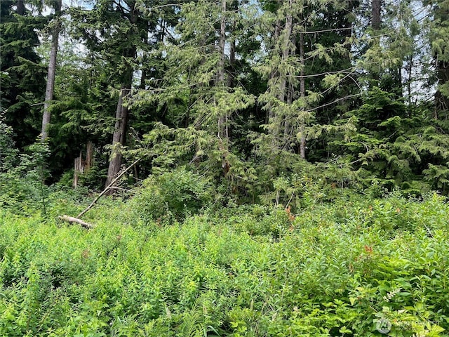 0 Cain Lake Rd, Sedro Woolley, WA 98284