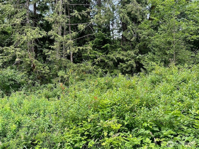 0 Cain Lake Rd, Sedro Woolley, WA 98284
