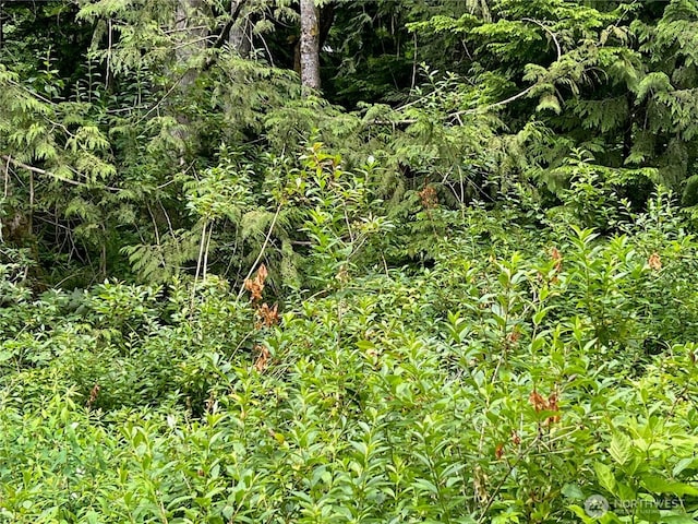 0 Cain Lake Rd, Sedro Woolley, WA 98284