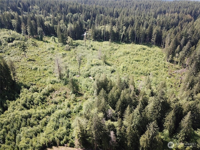 18710 364th Ave SE, Maple Valley, WA 98038 - photo 39
