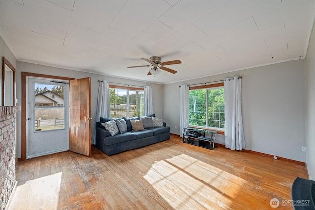 2991 Main St, Custer, WA 98240 - living room featuring plenty of natural light, hardwood / wood-style flooring, and a ceiling fan