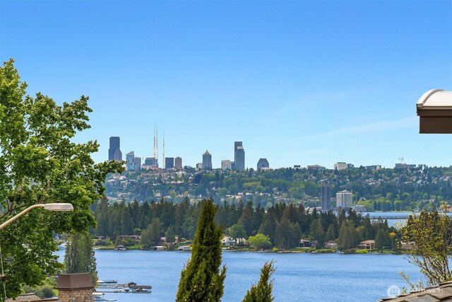 10410 NE 58th St, Kirkland, WA 98033 - photo 4