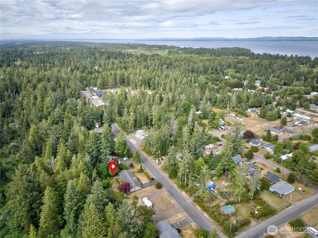 27521 U St, Ocean Park, WA 98640 - aerial overview of property's location featuring a heavily wooded area and a nearby body of water