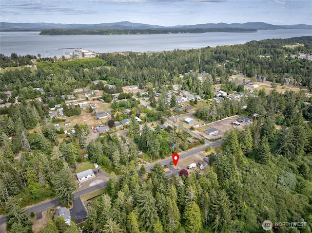 27521 U St, Ocean Park, WA 98640 - aerial view of property and surrounding area with a water and mountain view and a heavily wooded area