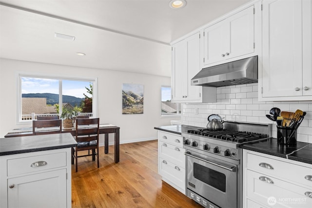 1424 E 36th Ln, Bellingham, WA 98226 - kitchen featuring under cabinet range hood, designer stove, dark countertops, plenty of natural light, and recessed lighting