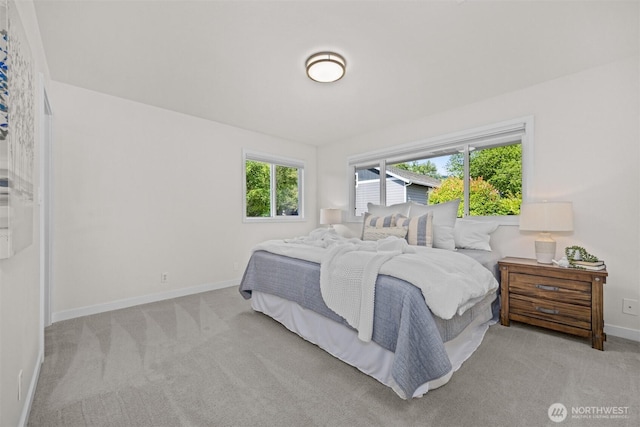 1424 E 36th Ln, Bellingham, WA 98226 - bedroom featuring carpet floors