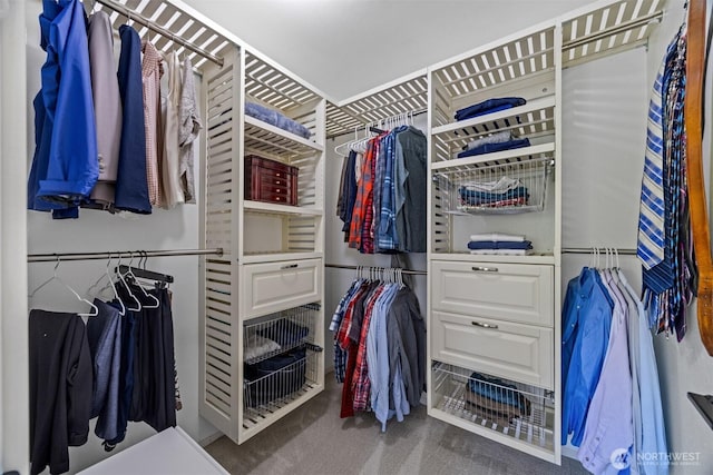 1424 E 36th Ln, Bellingham, WA 98226 - walk in closet with carpet floors