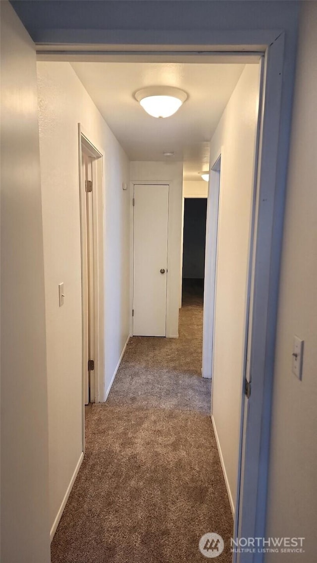 402 4th St SE, Auburn, WA 98002 - corridor with carpet flooring and baseboards