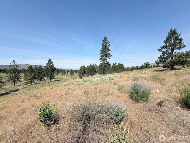 22 Dutch Anderson Rd, Omak, WA 98841