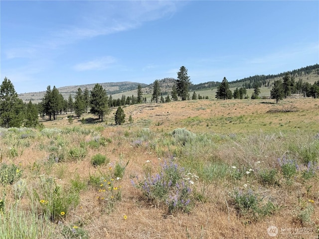 22 Dutch Anderson Rd, Omak, WA 98841