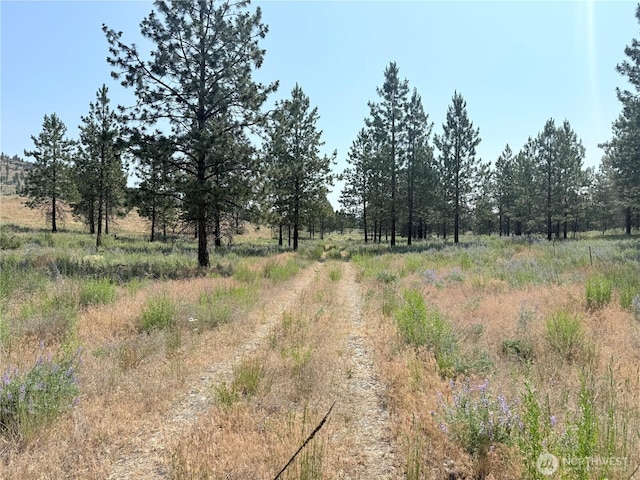 22 Dutch Anderson Rd, Omak, WA 98841