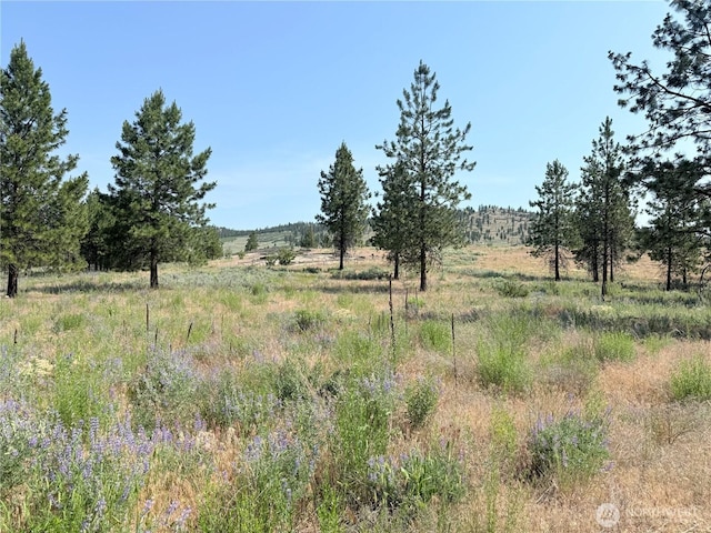 22 Dutch Anderson Rd, Omak, WA 98841