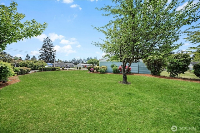 8718 Dresden Ln SW, Lakewood, WA 98498 - view of green lawn