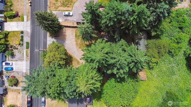 8038 S Ainsworth Ave, Tacoma, WA 98408 - aerial view of property's location