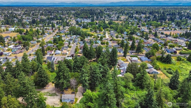 8038 S Ainsworth Ave, Tacoma, WA 98408 - view of property location with a mountain backdrop and nearby suburban area
