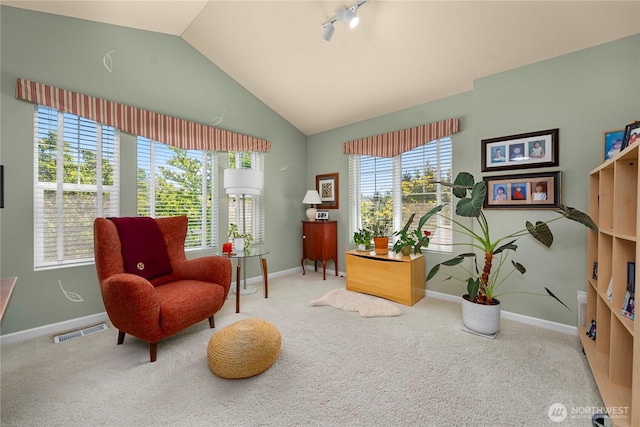 6703 Marshall Ave SE, Auburn, WA 98092 - living area with carpet and vaulted ceiling