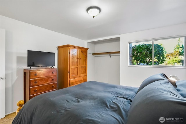 5720 122nd Ave SE Unit 179, Bellevue, WA 98006 - bedroom featuring a closet and light carpet