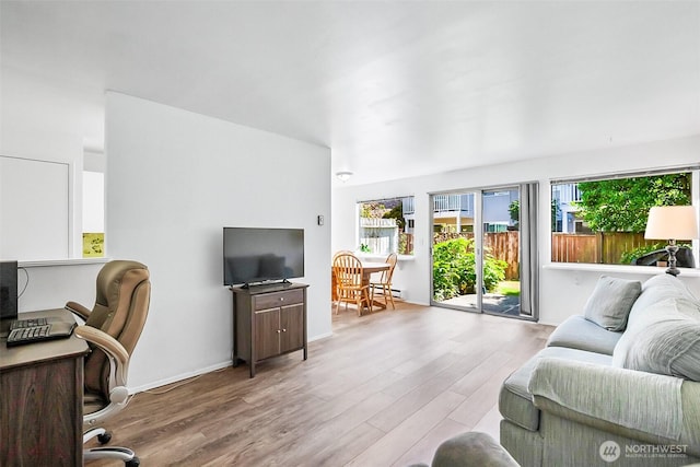 5720 122nd Ave SE Unit 179, Bellevue, WA 98006 - living room featuring wood finished floors and a baseboard radiator