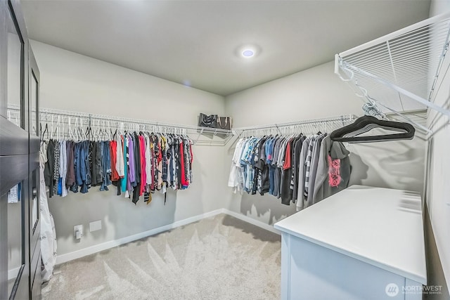 18437 111th Ave E, Puyallup, WA 98374 - walk in closet with light carpet
