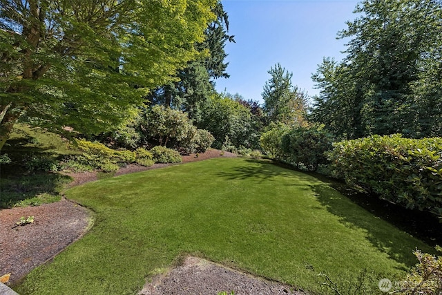 2314 Terrace Dr, Puyallup, WA 98372 - photo 37