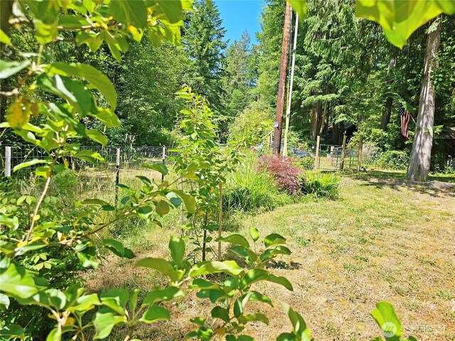 51 Hickory St, Quilcene, WA 98376 - photo 20