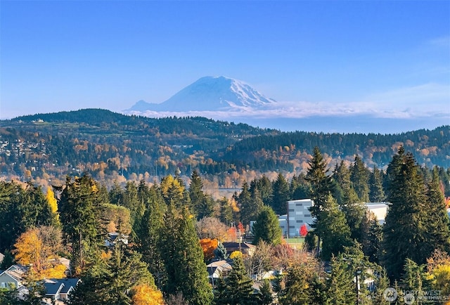 188 Bellevue Way NE Unit 1907, Bellevue, WA 98004 - mountain view featuring a forest