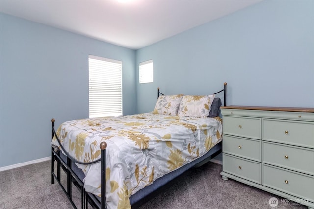 1194 Swan Loop, Dupont, WA 98327 - bedroom featuring carpet floors and baseboards