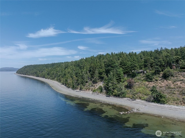 1585 Channel Rd, Lopez Island, WA 98261 - bird's eye view of a forest and a nearby body of water