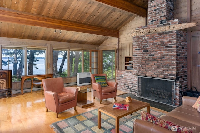 1585 Channel Rd, Lopez Island, WA 98261 - living room featuring wooden ceiling, wood walls, light wood-style floors, a fireplace, and baseboard heating