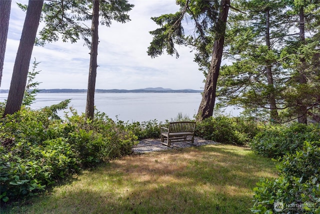 1585 Channel Rd, Lopez Island, WA 98261 - view of yard with a water and mountain view