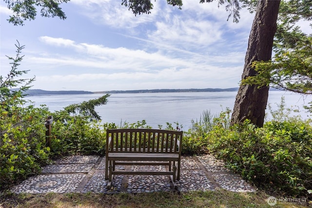 1585 Channel Rd, Lopez Island, WA 98261 - view of home's community featuring a water view
