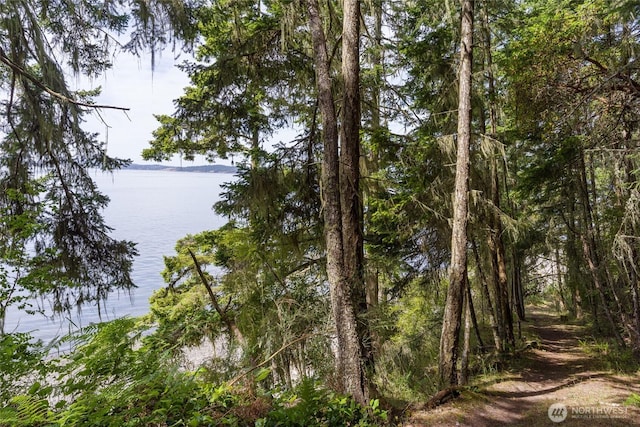 1585 Channel Rd, Lopez Island, WA 98261 - water view