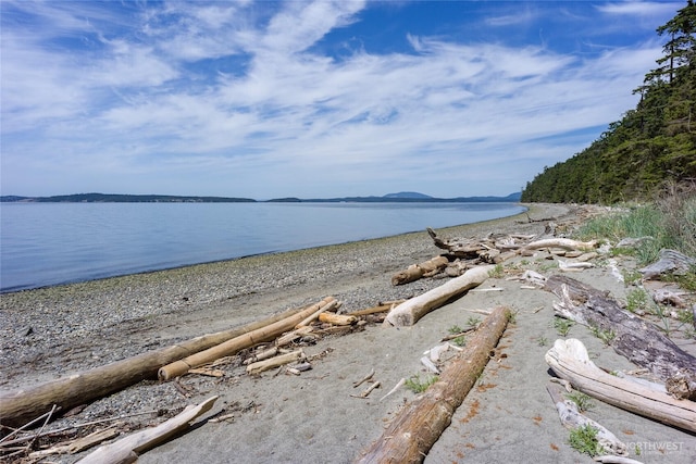 1585 Channel Rd, Lopez Island, WA 98261 - water view