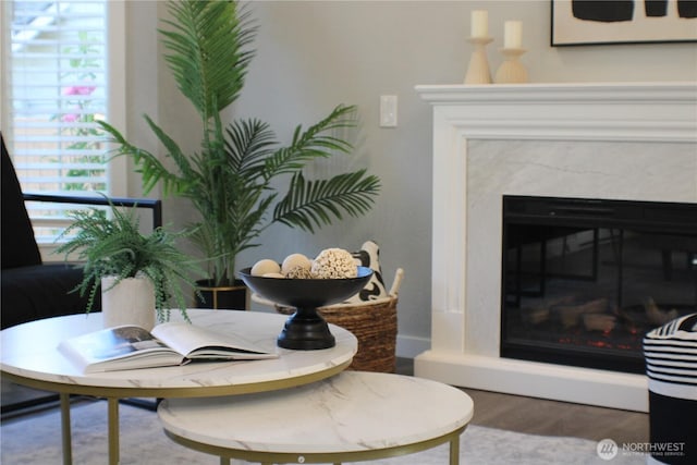 1514 51st Pl SW, Everett, WA 98203 - detailed view of wood finished floors and a premium fireplace