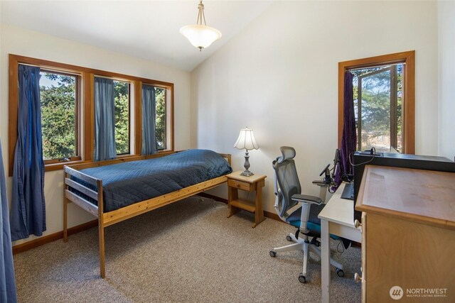 959 Guard St Unit A, Friday Harbor, WA 98250 - photo 11