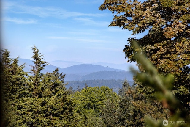 959 Guard St Unit A, Friday Harbor, WA 98250 - photo 16