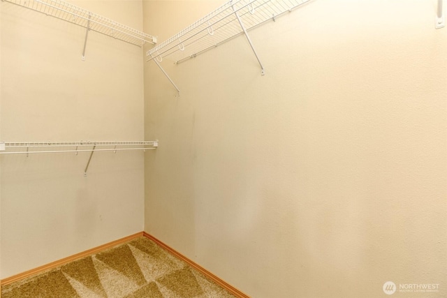 2630 Hamilton Ave, Dupont, WA 98327 - spacious closet featuring light colored carpet