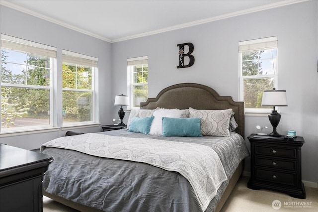 1404 Portside Ct, Freeland, WA 98249 - bedroom with crown molding and light carpet