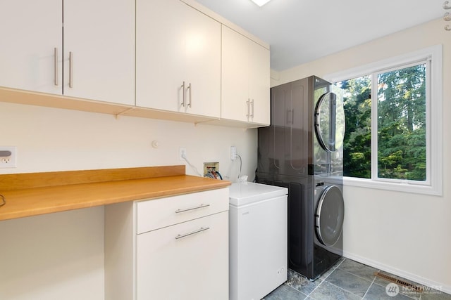 11404 NE 103rd St, Kirkland, WA 98033 - washroom with estacked washer and dryer and cabinet space