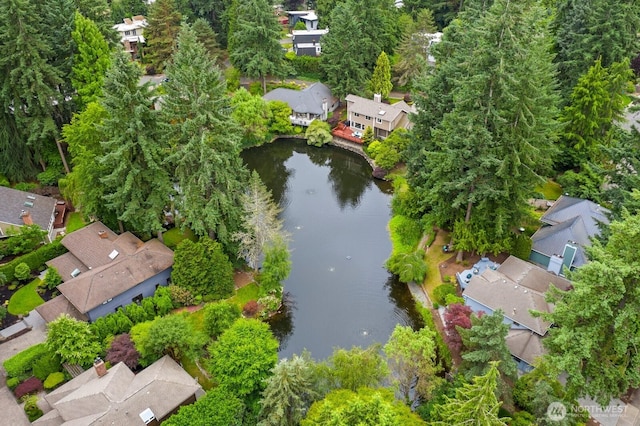 11404 NE 103rd St, Kirkland, WA 98033 - aerial view of residential area with a nearby body of water