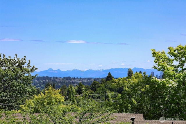 228 24th Ave E Unit A, Seattle, WA 98112 - view of mountain backdrop featuring a heavily wooded area