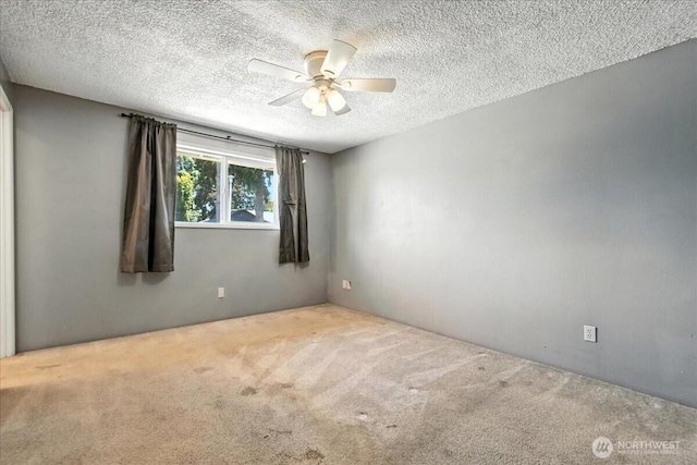 12619 SE 10th St, Vancouver, WA 98683 - photo 14