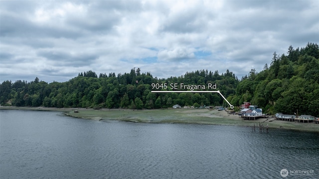 9045 SE Fragaria Rd, Olalla, WA 98359