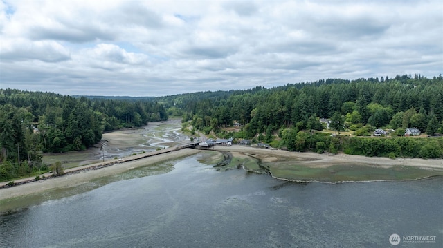 9045 SE Fragaria Rd, Olalla, WA 98359