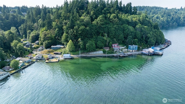 9045 SE Fragaria Rd, Olalla, WA 98359