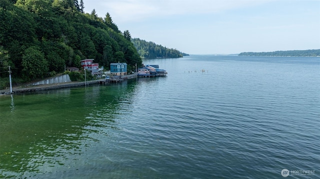 9045 SE Fragaria Rd, Olalla, WA 98359