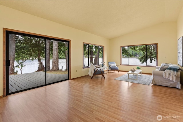 181 E Dabob Rd, Shelton, WA 98584 - living room with lofted ceiling and light wood-style floors