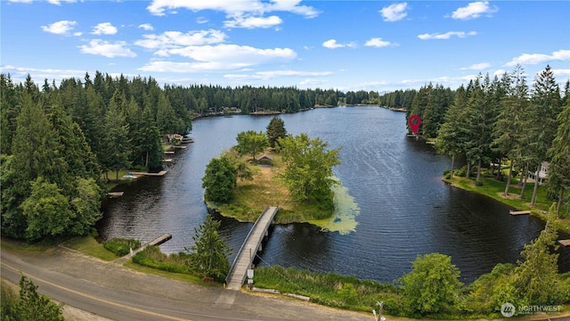 181 E Dabob Rd, Shelton, WA 98584 - water view with a forest